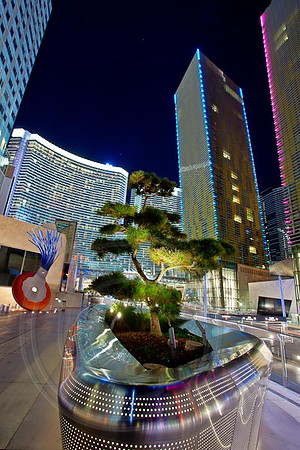 Las Vegas 101021_0030_1_2 900x700